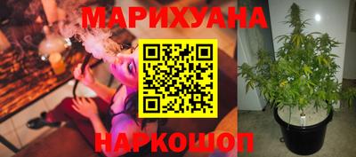 скорость Будённовск