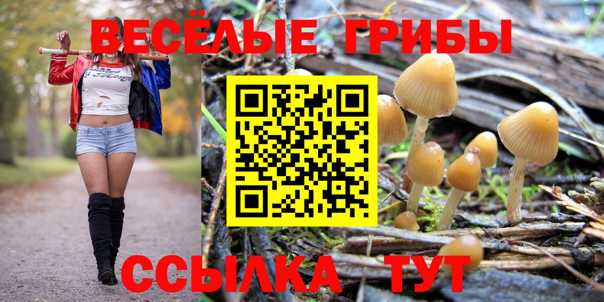 Галлюциногенные грибы Magic Shrooms Тула