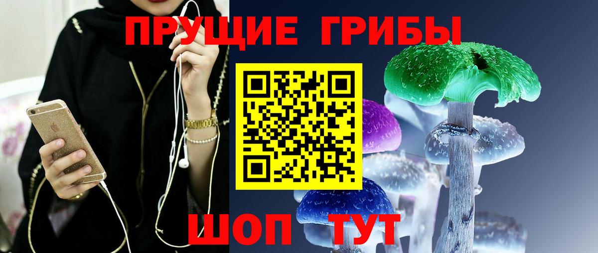 Тула  Галлюциногенные грибы Psilocybe  Вход с VPN 